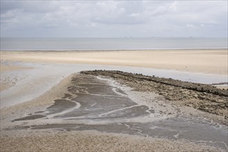 Landscape at low tide at the Kniephaken, Schleswig-Holstein Wadden Sea National Park, North Sea