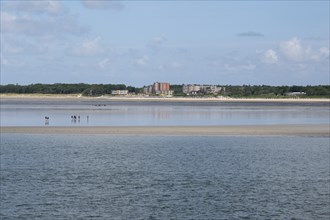 View of the coast of Wyk auf Föhr, mudflat hiker, North Sea coast, Föhr, North Sea island, North