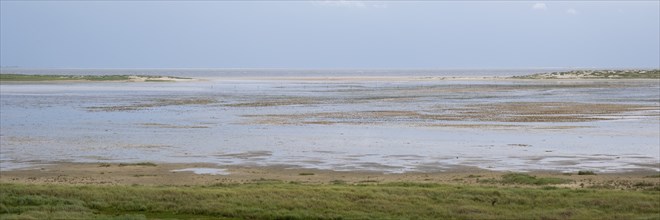 Landscape at the Kniephaken, Schleswig-Holstein Wadden Sea National Park, North Sea coast, Amrum,