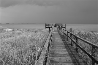 Boardwalk to the viewing platform on the North Sea coast, dark clouds, marram grass, Amrum, North