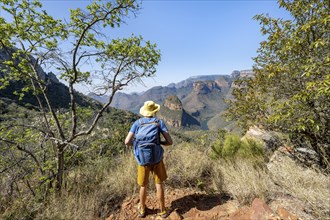 Hiker looking at canyon landscape, River loop at Blyde River Canyon with Three Rondawels peak, View