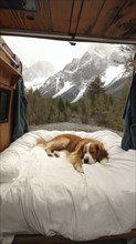 Dog resting on a bed inside an open van with a view of snowy mountains, exuding a cozy and peaceful