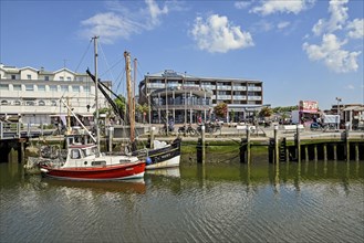 Museum harbour with small cutters, Büsum, Dithmarschen, Schleswig-Holstein, Germany, Europe