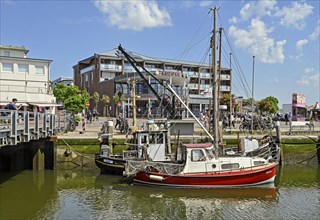 Museum harbour with small cutters, Büsum, Dithmarschen, Schleswig-Holstein, Germany, Europe