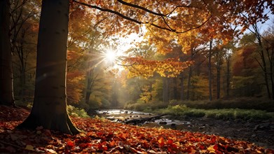 Autumn forest with leaves in varying shades of amber red and yellow in golden hour sunlight, AI