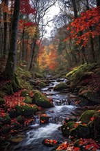 Autumn forest with leaves in varying shades of amber red and yellow in golden hour sunlight, AI