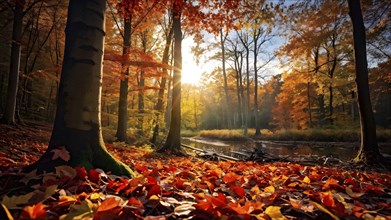 Autumn forest with leaves in varying shades of amber red and yellow in golden hour sunlight, AI