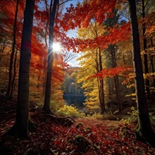 Autumn forest with leaves in varying shades of amber red and yellow in golden hour sunlight, AI