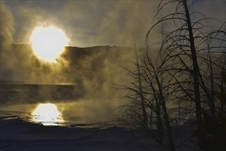 Sunrise Angel Terrace Yellowstone National Park. Wyoming, United States, North America