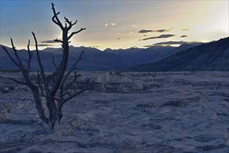 Sunrise Angel Terrace Yellowstone National Park. Wyoming, United States, North America