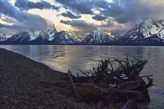 Grand Teton National Park. Wyoming, United States, North America