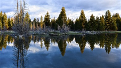 Grand Teton National Park. Wyoming, United States, North America