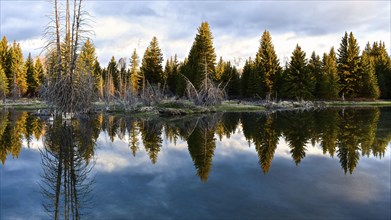 Grand Teton National Park. Wyoming, United States, North America