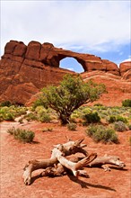 Arches National Park. Utah, United States, North America