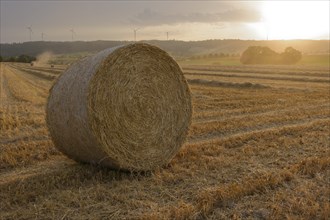 Harvest is brought in in front of the weather changes, harvest, grain field, Bibersfeld, Schwäbisch