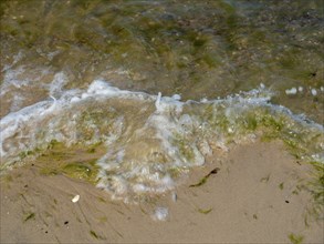 Water flowing onto the sandy beach on the island of Usedom on the Baltic Sea, Zempin,