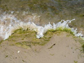 Water flowing onto the sandy beach on the island of Usedom on the Baltic Sea, Zempin,