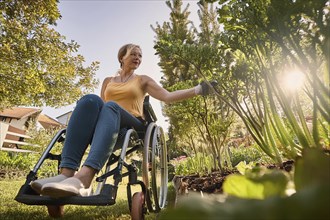 A woman in a wheelchair enjoys gardening in nature in the sunlight, ai generated, KI generated, AI