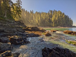 Sombrio Beach. Vancouver Island British Columbia, Canada, North America