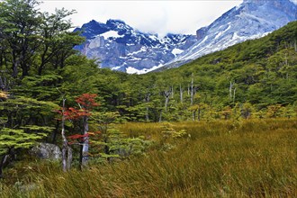 Torres del Paine National Park, Chile, South America