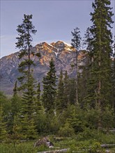 Pyramid Mountain. Jasper Alberta, Canada, North America