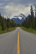 Along the Icefields Parkway. Alberta, Canada, North America