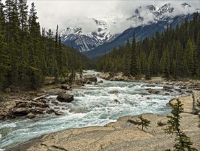 Mistaya River Alberta, Canada, North America