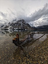 Waterfowl Lakes Alberta, Canada, North America