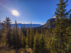 Valley in Lake Louise Alberta, Canada, North America