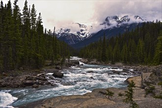 Mistaya River Alberta, Canada, North America