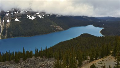 Peyto Lake Alberta, Canada, North America