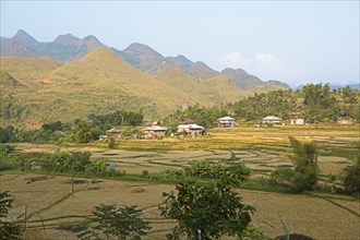 Karst hills and fields, Dong Van Karst Plateau UNESCO Global Geopark, Ha Giang Province, Vietnam,