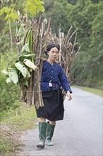 Vietnamese woman carrying firewood on a street, Ha Giang province, Vietnam, Asia