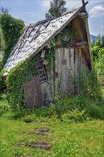 Rotten overgrown garden shed, Bolsternang, Allgäu, Swabia, Baden-Württemberg, Germany, Europe