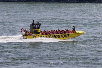 Jet boating, jet boat ride on the Saint Lawrence River, Summer, Montreal, Province of Quebec,