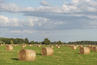 Straw bales in a field, Prerow, Mecklenburg-Western Pomerania, Germany, Europe