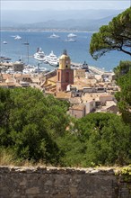 Saint Tropez with yachts, old town with bell tower of the church Notre-Dame de l'Assomption,