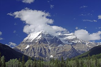 Snow-capped mountains under a clear blue sky with clouds and forest in the foreground, Mount Robson