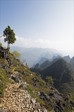 Karst rocks in the Dong Van Karst Plateau UNESCO Global Geopark, Ha Giang Province, Vietnam, Asia