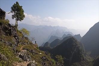 Karst rocks in the Dong Van Karst Plateau UNESCO Global Geopark, Ha Giang Province, Vietnam, Asia