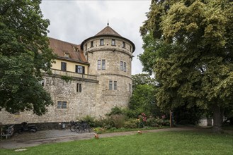 Hohentübingen Palace, Museum of Ancient Cultures, Tübingen, Baden-Württemberg, Germany, Europe