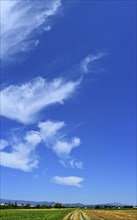 Cirrus or cirrus clouds in the blue sky over the mountains of the Bavarian Forest, Plattling, Lower