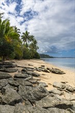 White sand beach, Bouma National Park, Taveuni, Fiji, South Pacific, Oceania