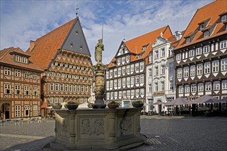 Historic market square with Rolandbrunnen fountain, BÃ¤ckeramtshaus and Knochenhaueramtshaus,