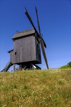 Windmill, Bockwindmühle Beelitz, Brandenburg, Germany, Europe