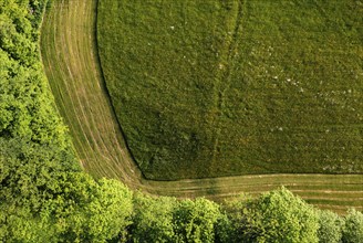 Drone image, structure of a mown meadow with group of trees, from above, structure, agriculture,