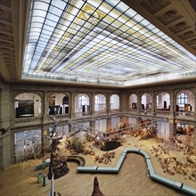 Lichthof Museum Koenig, Natural History Museum and Station Weg der Demokratie, Bonn, North