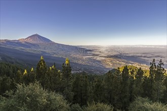 Mount Teide, El Teide, Pico del Teide, volcano, stratovolcano in the Teide National Park on