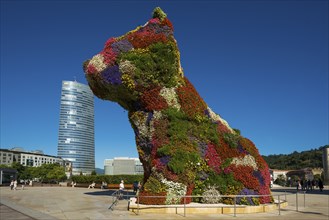 Guggenheim Museum Bilbao, Architect Frank O. Gehry, Sculpture Puppy by Jeff Koons, Bilbao, Basque