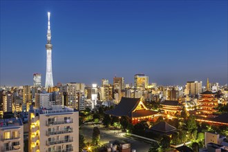 Tokyo SkyTree tower with the skyline skyscrapers at night in Tokyo, Japan, Asia